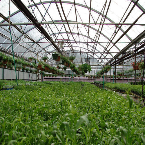 Greenhouse Consultancy Solution