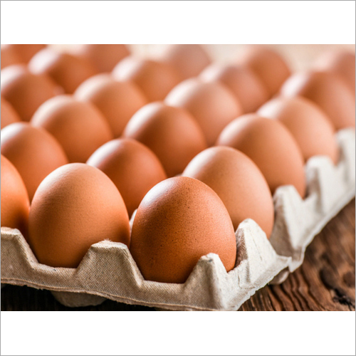 Fresh Brown Chicken Eggs - Natural Size, Freshly Sourced | Premium Quality Farm-Fresh Protein