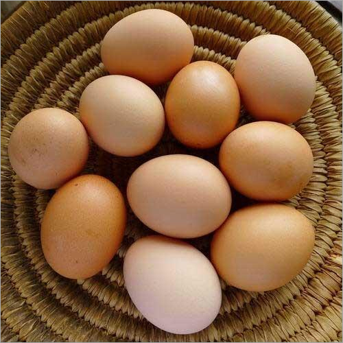 Organic Desi Eggs Egg Origin: Chicken
