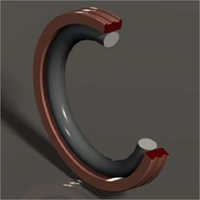 Rotary Piston Seal