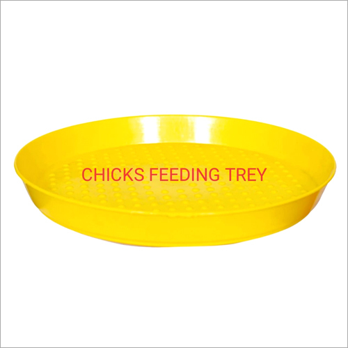 Yellow Chicks Feeding Tray