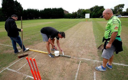 Cricket Ground Making & maintenance