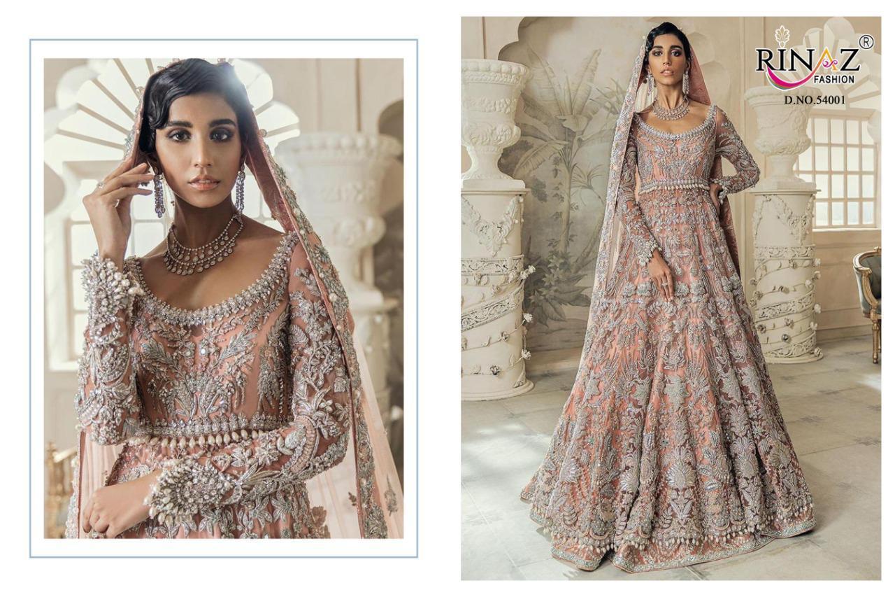 Rinaz Fashion Rim Zim Vol 5 Butterfly Net With Work Pakistani Suit Catalog