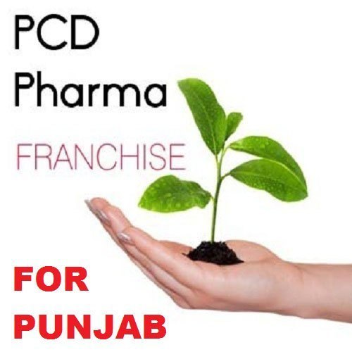 PCD Pharma Franchise in Punjab