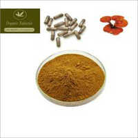 Herbs Powder Ganoderma Mushroom Extract