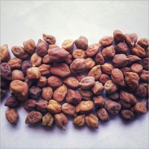 Fresh Bengal Chickpeas - Whole Organic Chickpeas, High Purity, Customizable Weight in Kilograms