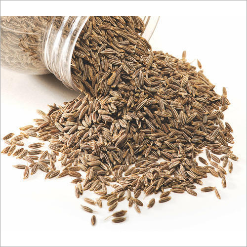 Fresh Cumin Seed Grade: A
