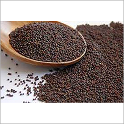 Fresh Mustard Seed Grade: A