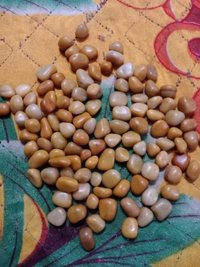 Tumbled Stones & Pebbles