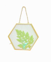 Mini Hexagonal Hanging Photo Frame - Glass And Steel Material, Yellow Color With Gold Finish | Easy To Clean, Rust Proof, Handmade Design