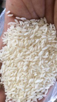 Sona Masoori Rice