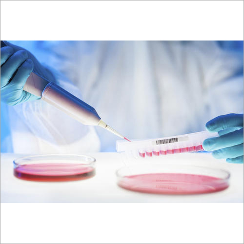 Microbiological Analysis Testing Services By LILABA ANALYTICAL LABORATORIES
