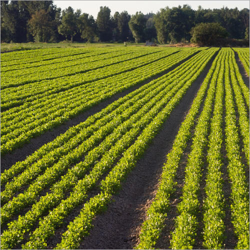 Agriculture Laboratory Testing Services