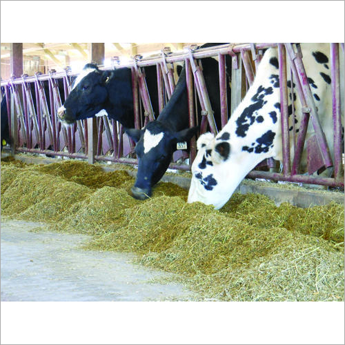 Animal Feed Testing Analysis Laboratory Services