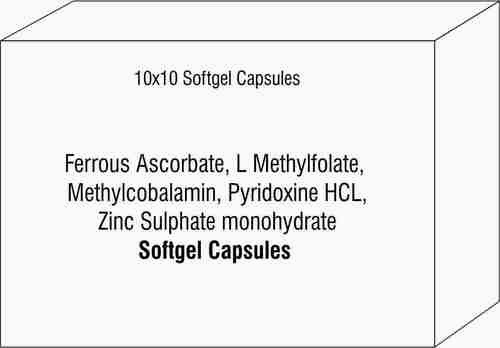 Ferrous Ascorbate L Methylfolate Methylcobalamin Pyridoxine HCL Zinc Sulphate monohydrate