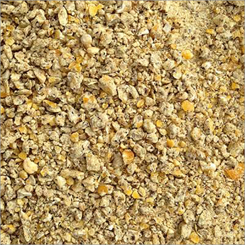 Cattle Feed - Nutritional Blend for Enhanced Growth | Promotes Digestion, Supports Immune System, Ideal for Pregnant Animals