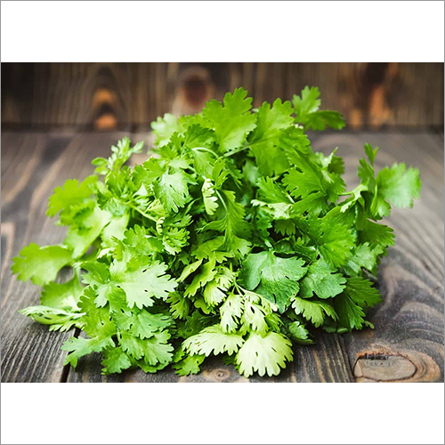 Coriander Leaves Age Group: For Adults