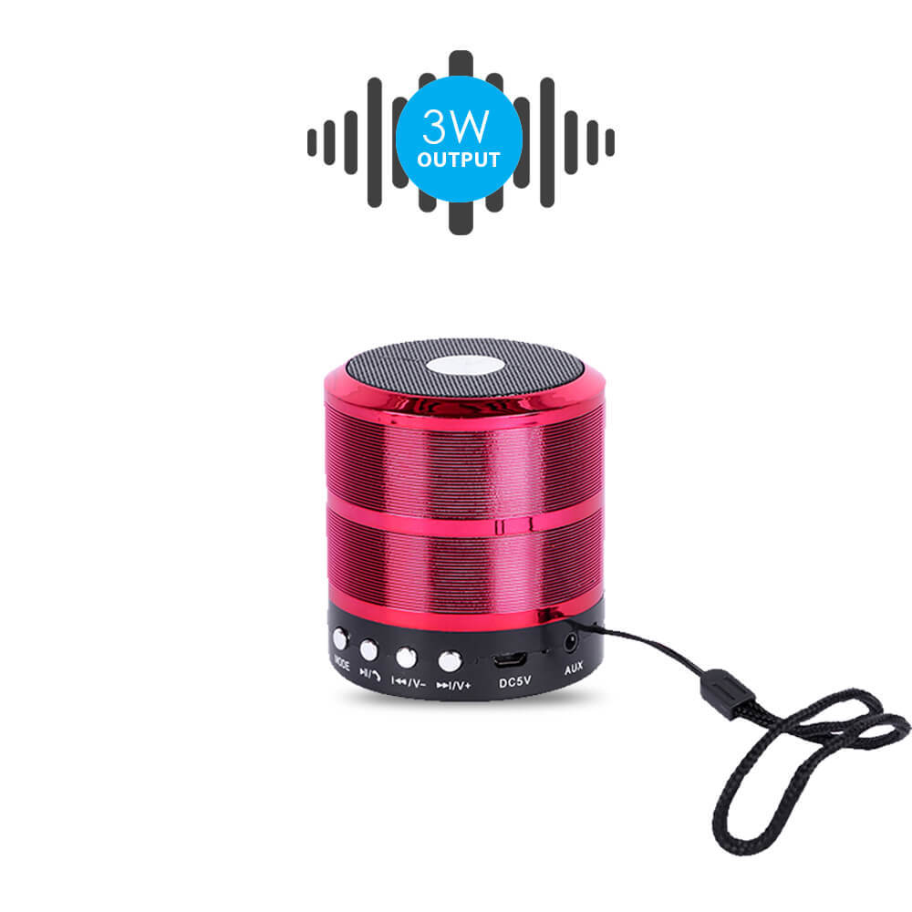 Bluei Rocker R1 High Bass,5.0 Bluetooth Version with Built - in FM Radio,Aux input, Call Function & SD Card Support Portable Bluetooth Speaker