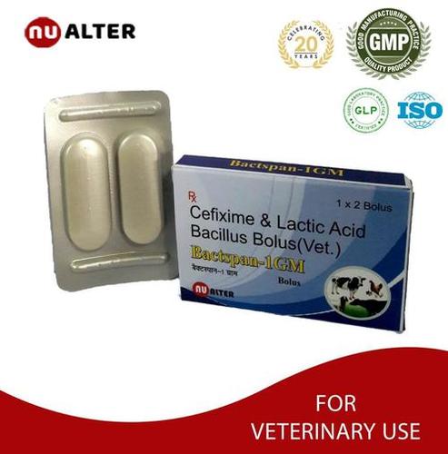 Veterinary Cefixime Bolus