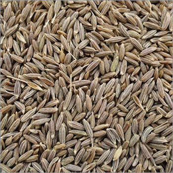 Dried Cumin Seed