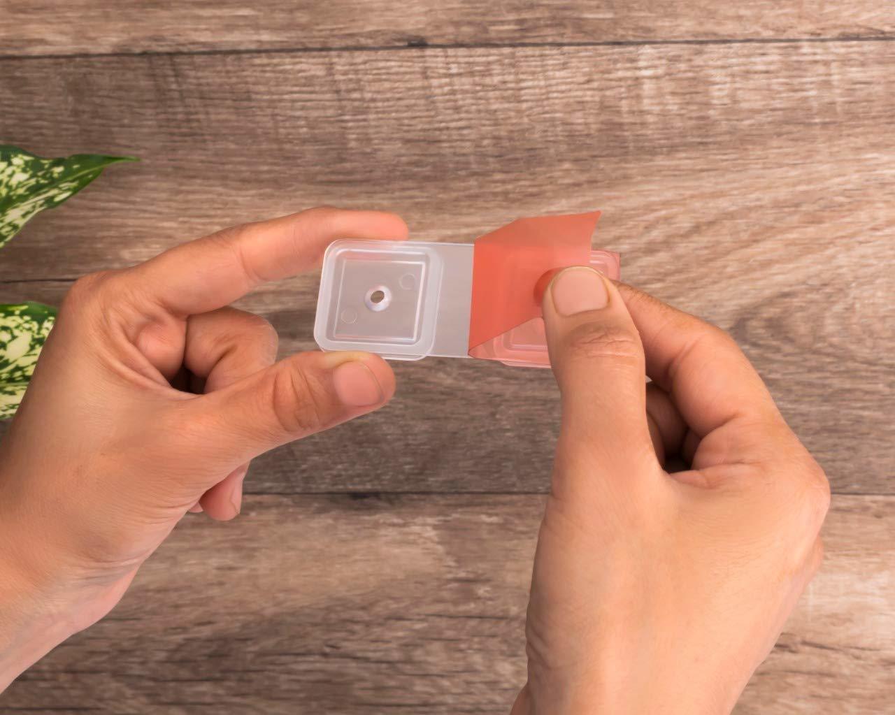 Push Button Container 1pcs