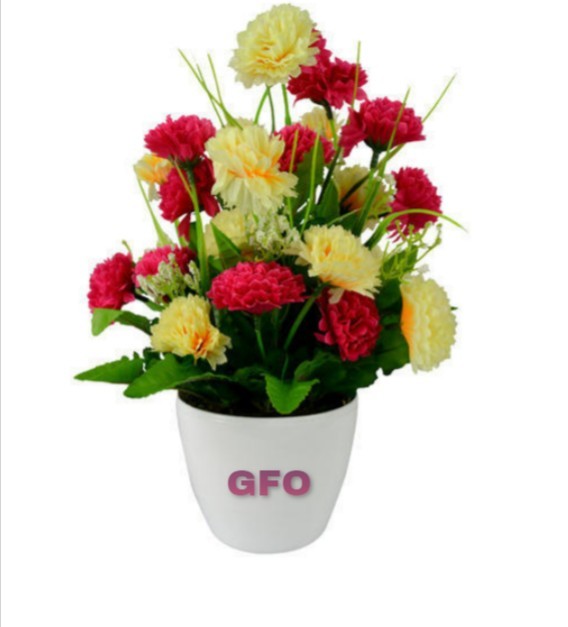 GFO Fire plant