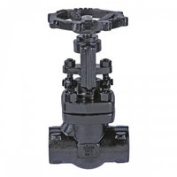 Globe Valve, Class-800