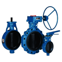 Butterfly Valve