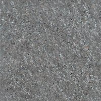 2x2 Double Charge Black Floor Tiles