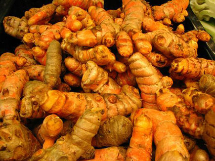 Curcuma Longha Dry Extract