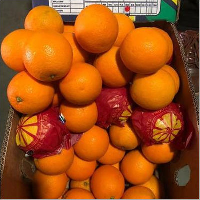 Egypt Oranges