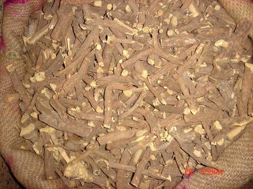 Glycyrrihiza Glabra Dry Extract