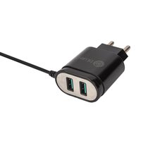 Bluei Tcw 02- 3.1a, Dual Usb Mobile Charger