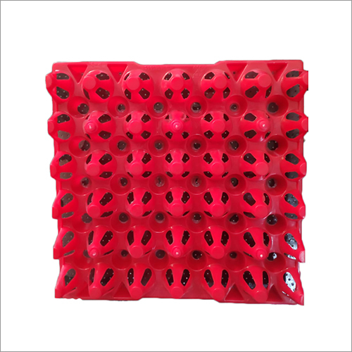 Red First Quality Double Egg Tray