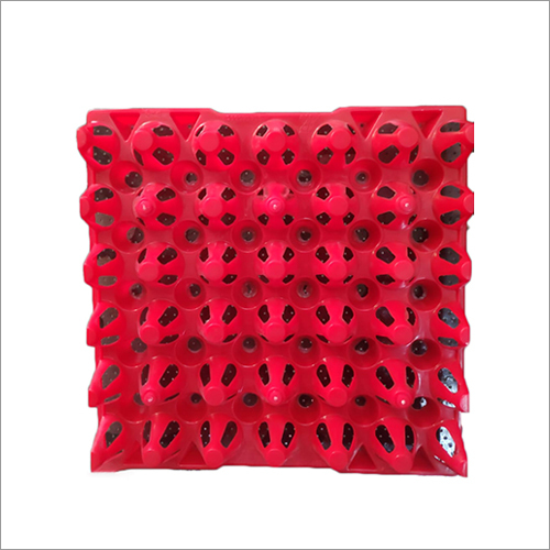 Pvc First Quality Red Color Egg Tray