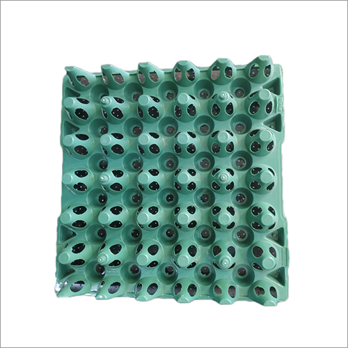 Green Spl Quality Egg Tray