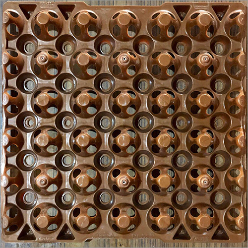 Brown Choclate Color Egg Tray