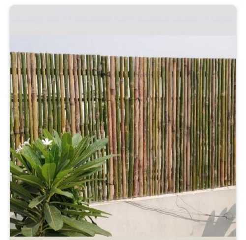 Bamboo fence By PITAMBAR HANDLOOM STORE