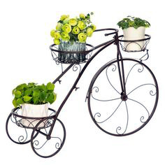 Iron Decorative Flower Pot Stand By ROYAL ART GROUP OF INDUSTRIES
