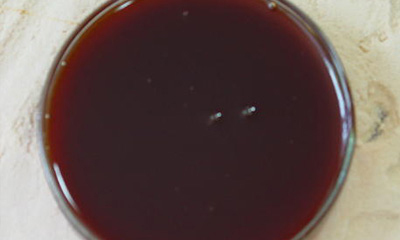 Liquid Malt Extract