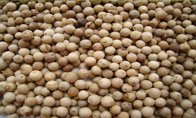 White Pepper