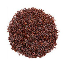 Red Mustard Seeds