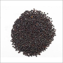 Black Mustard Seeds