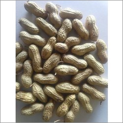 Organic Natural Groundnuts In Shells