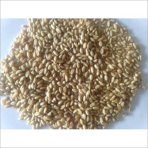 Organic Natural Wheat Grain