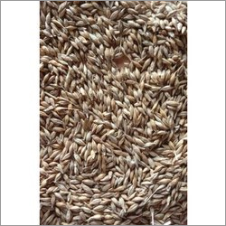 Natural Barley Grain Admixture (%): 2%