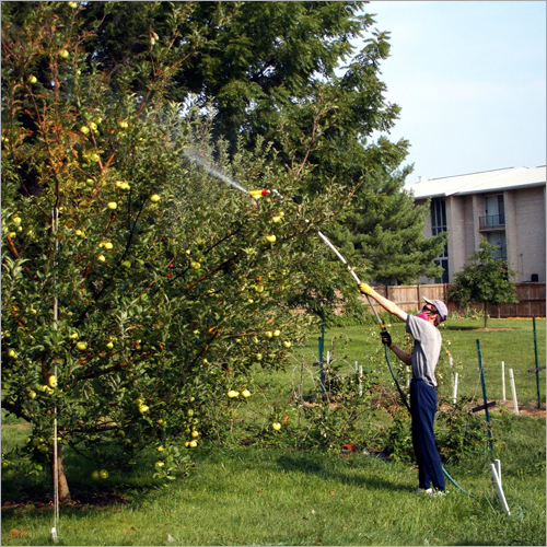 Spray Oil