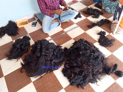 Indian Raw Human Hair at Best Price in Madurai | Breed Hair Exports Private  Limited
