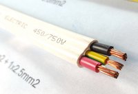 NSPV 2.5 mm Twin And Earth 2C And E Twin And Earth Cable