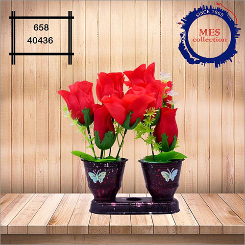 Home Plants